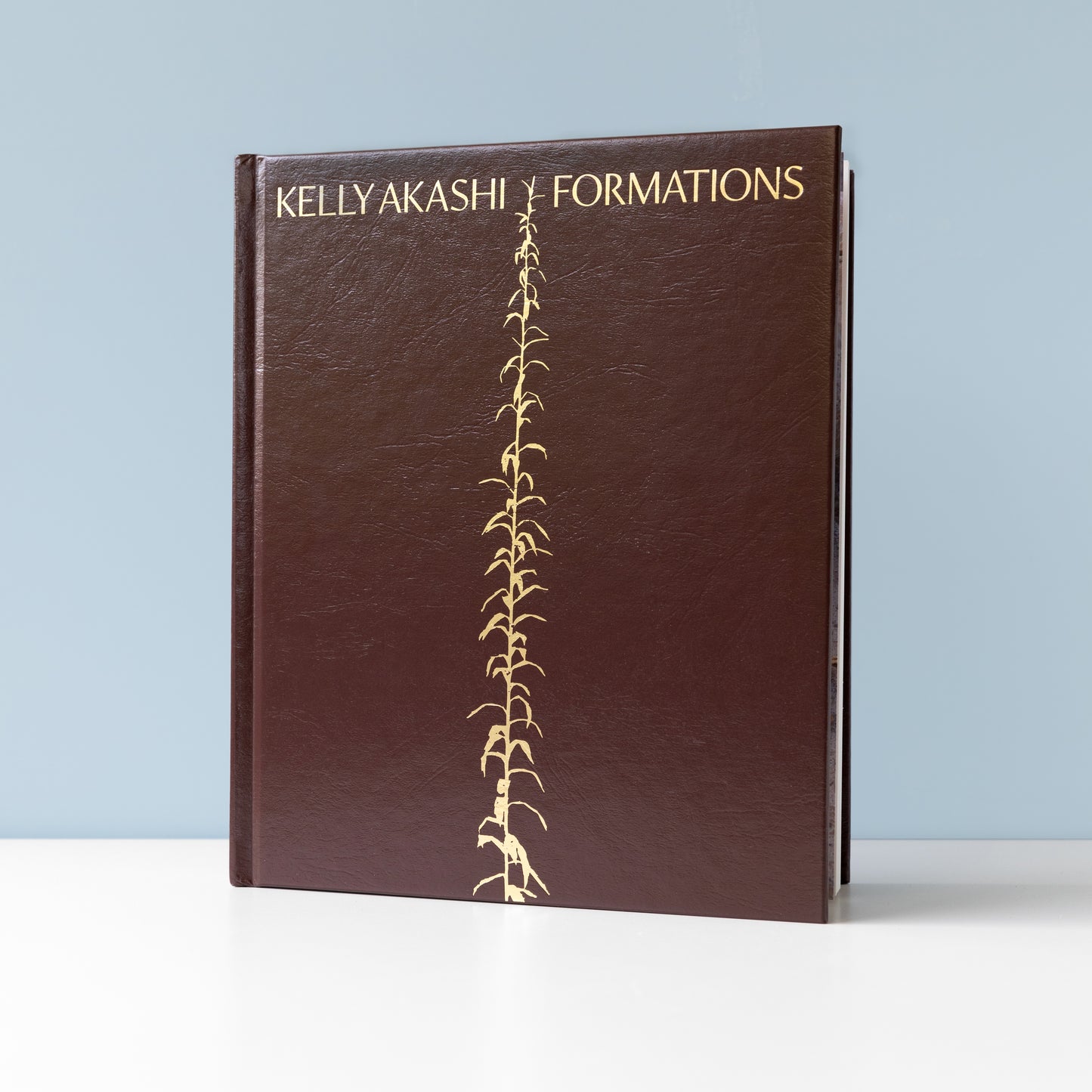 Kelly Akashi: Formations