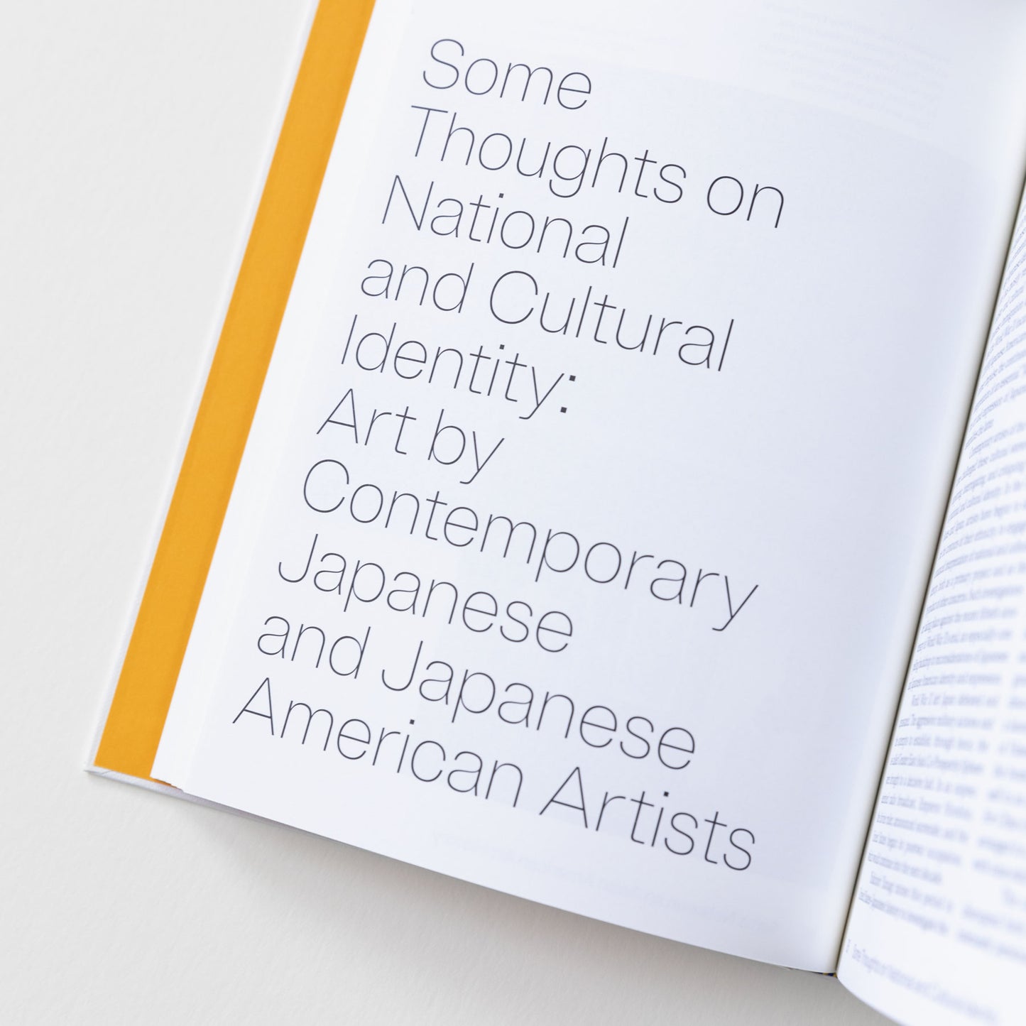 Hidden in Plain Sight Selected Writings of Karin Higa