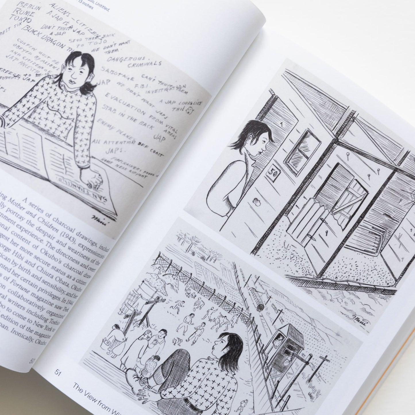 Hidden in Plain Sight Selected Writings of Karin Higa