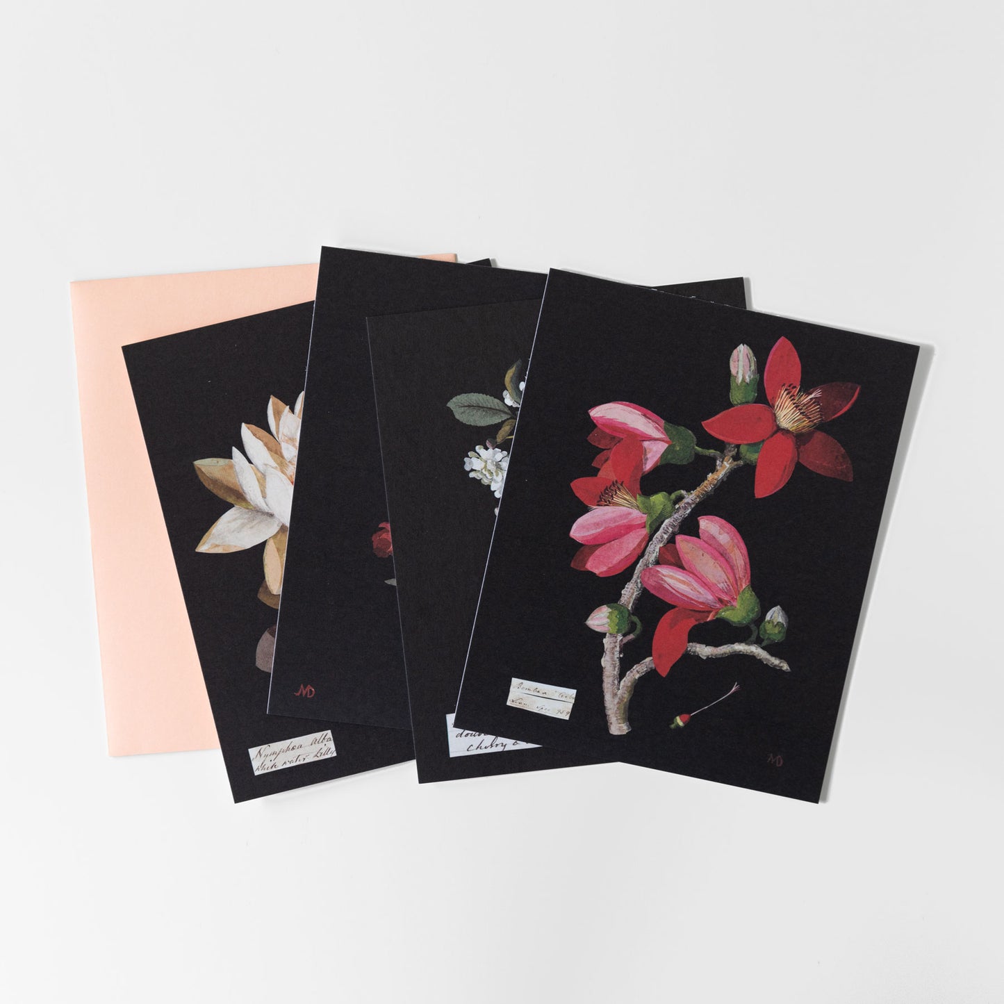 Paper Flowers Boxed Notecards