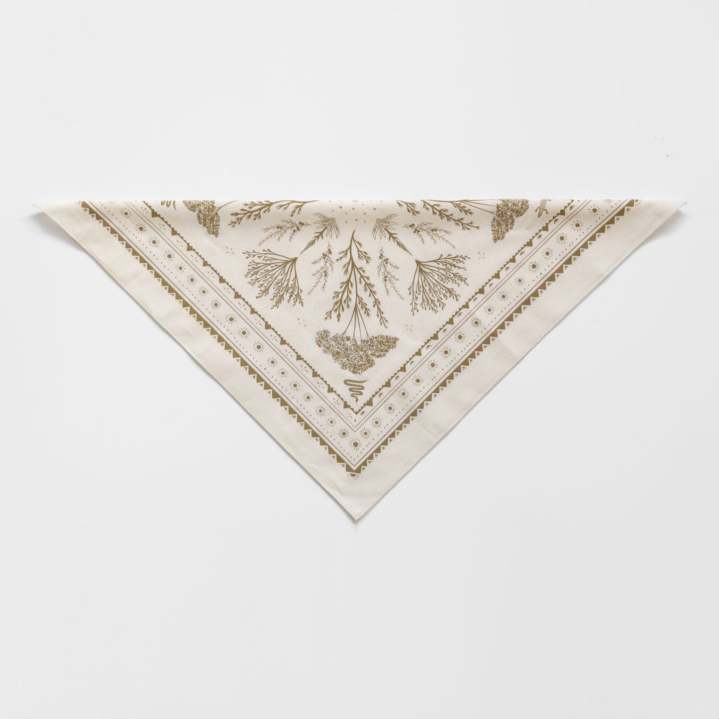 High Desert Bandana