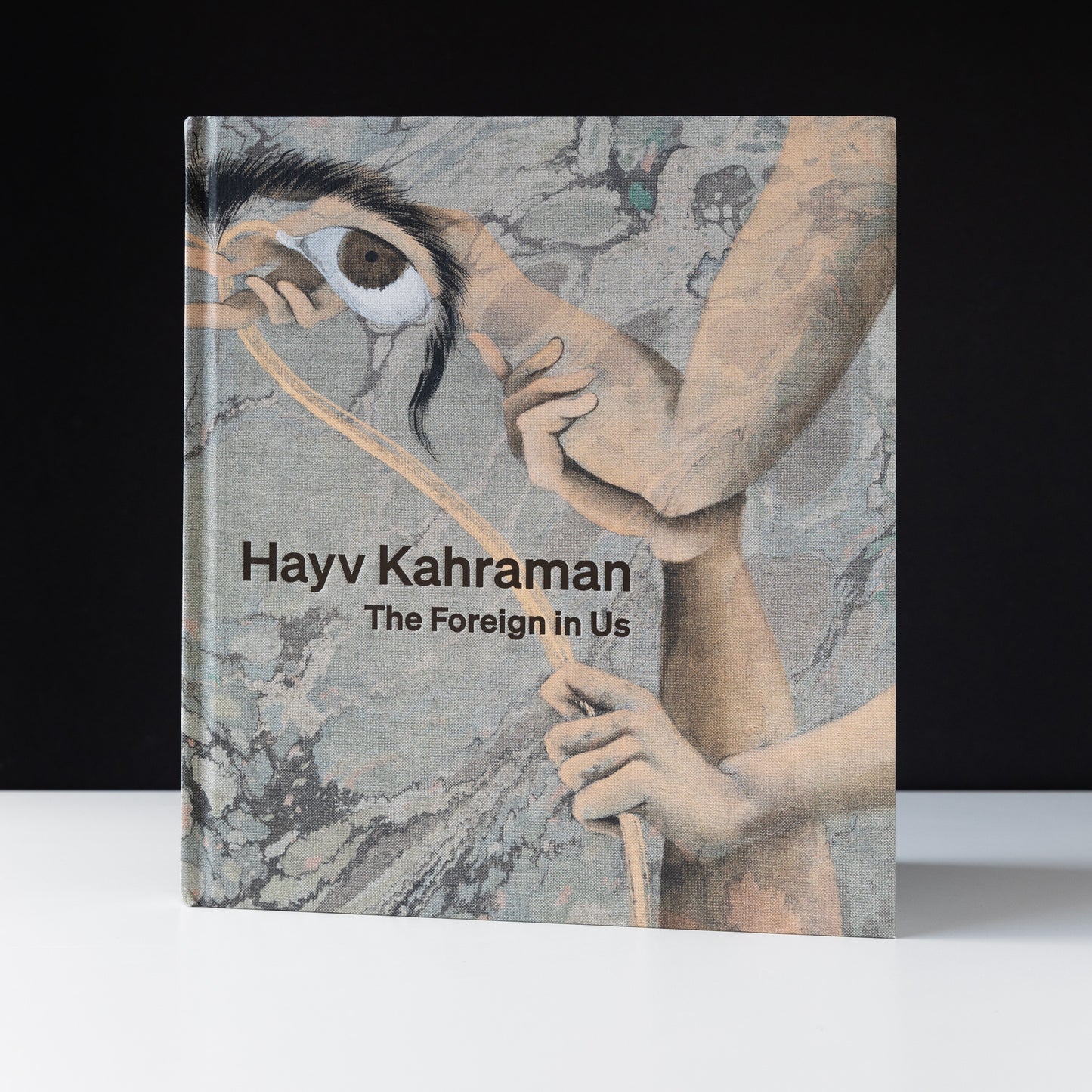 Hayv Kahraman: The Foreign in Us
