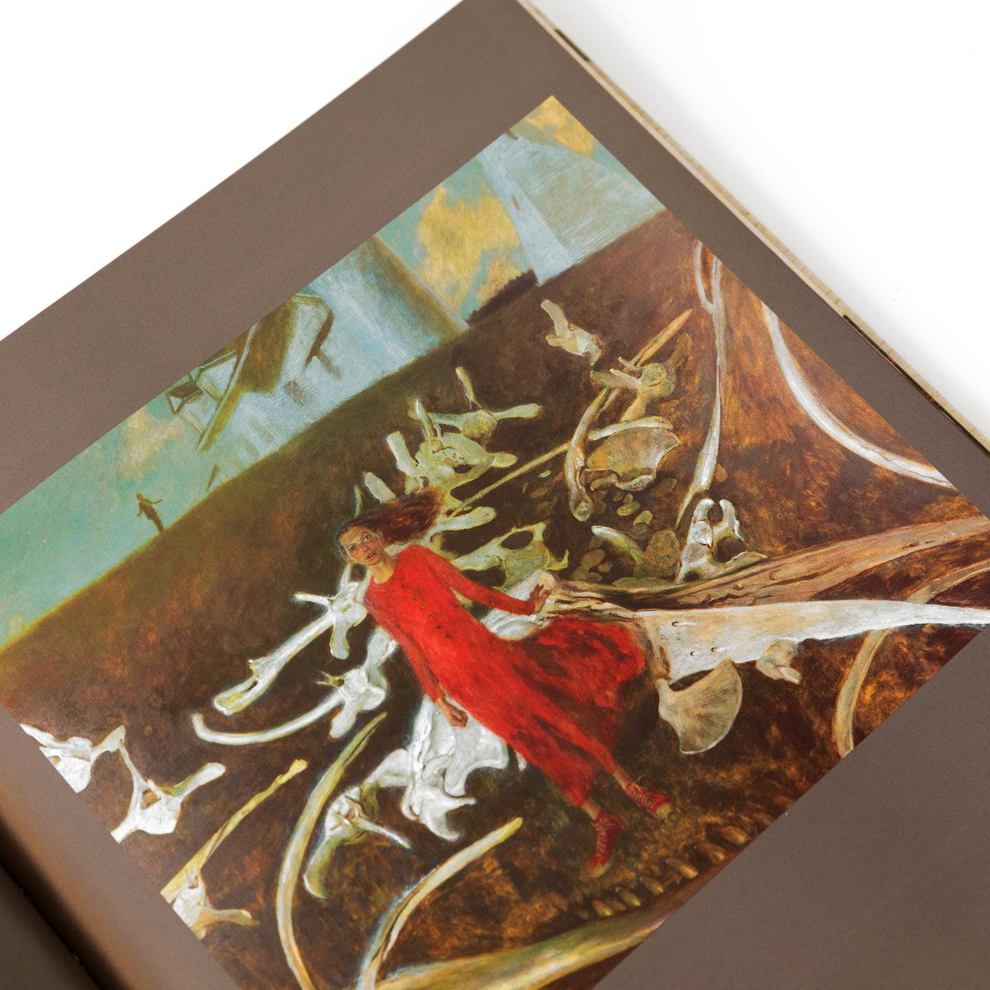 Jamie Wyeth: Unsettled
