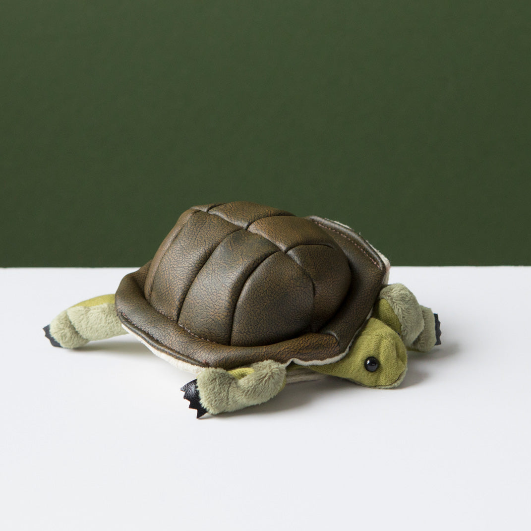 Mini Turtle Puppet