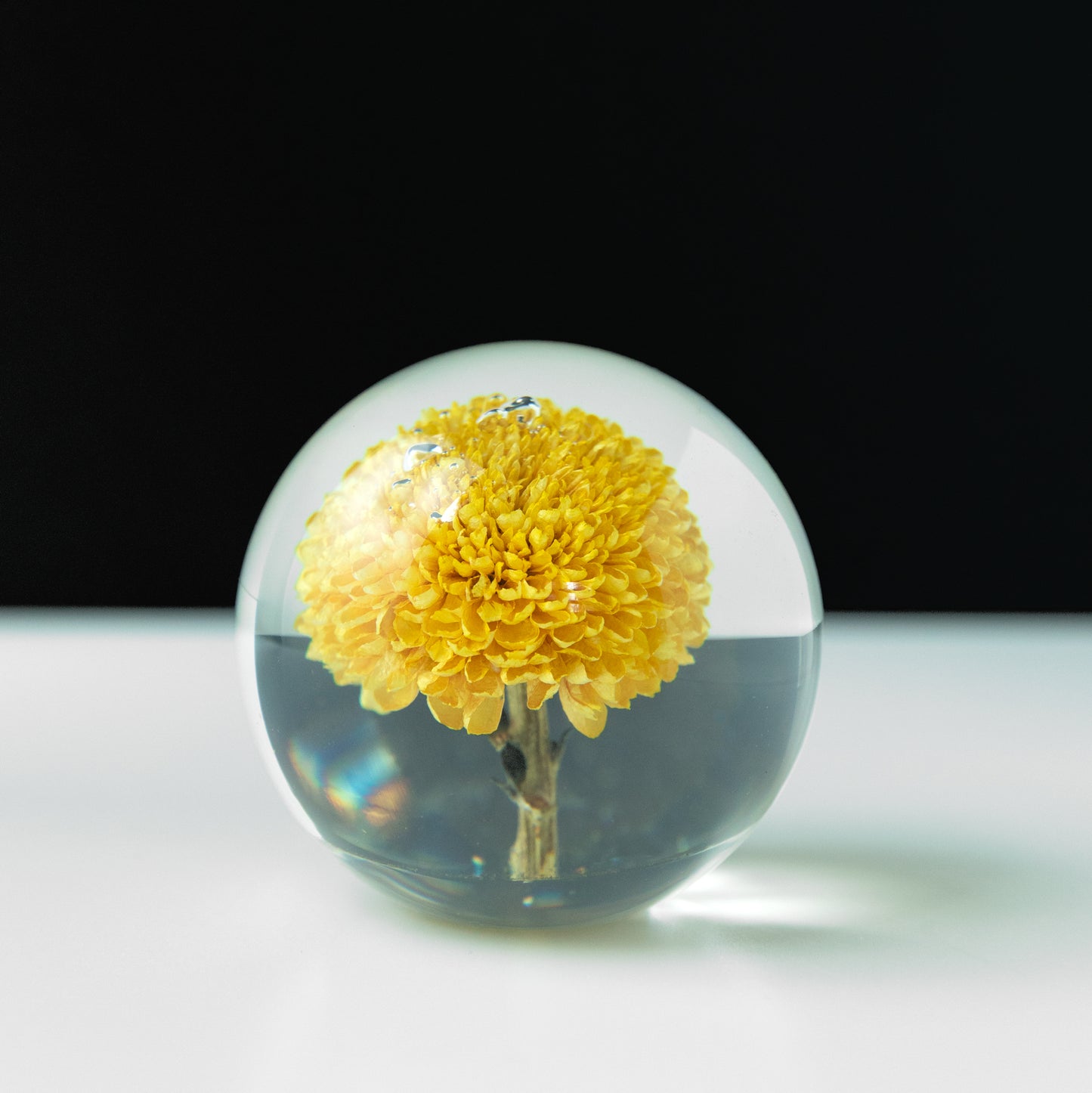 Pom Pom Paperweight