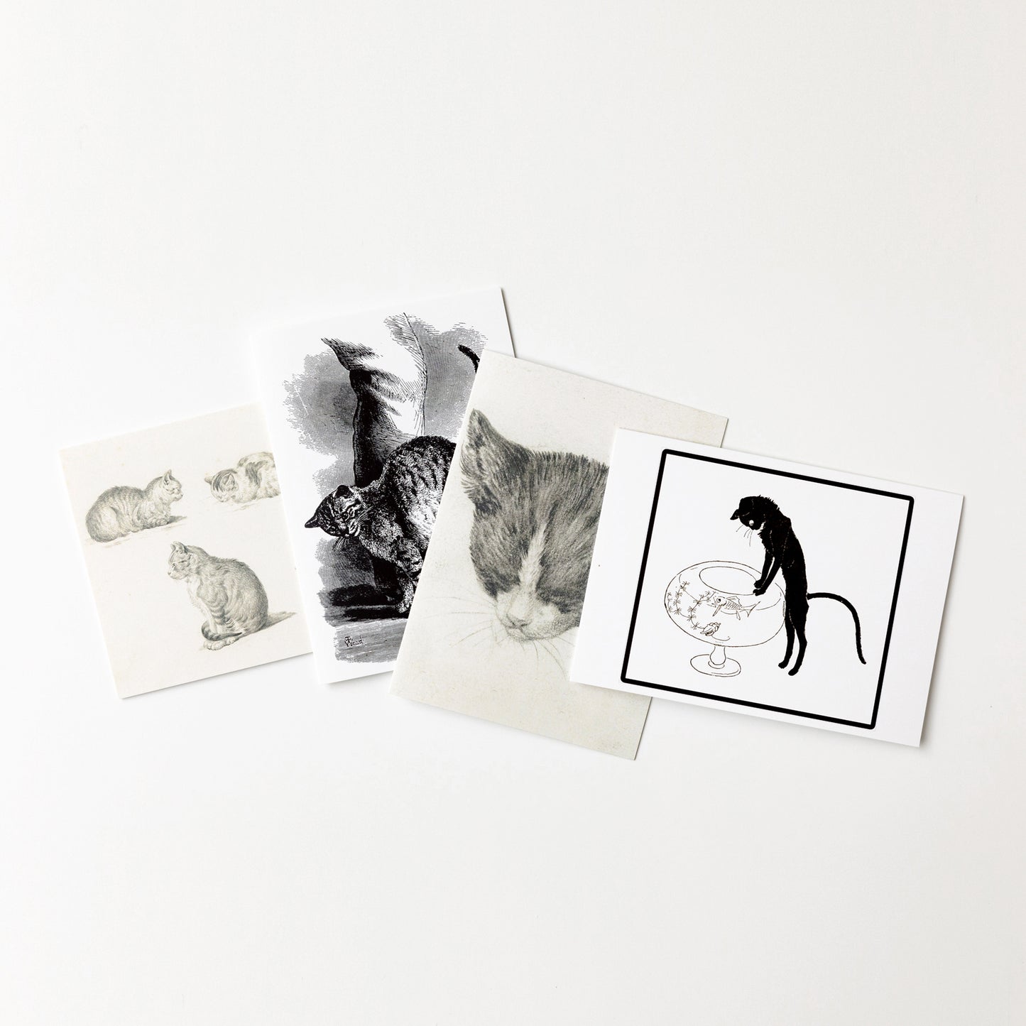 The Art of Cats Notecards