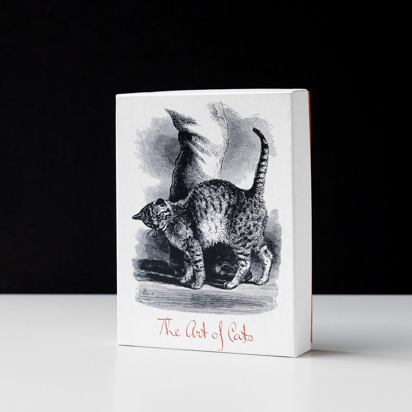 The Art of Cats Notecards