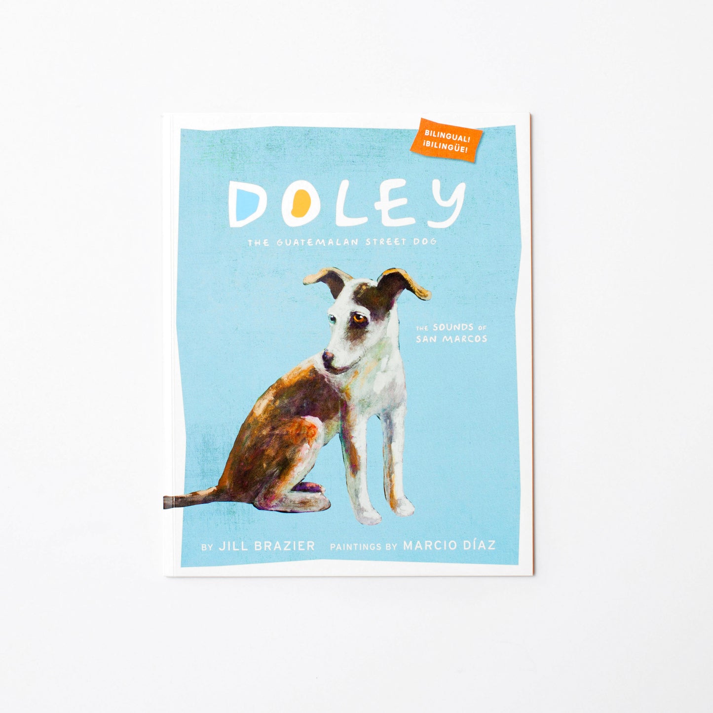 Doley the Guatemalan Street Dog