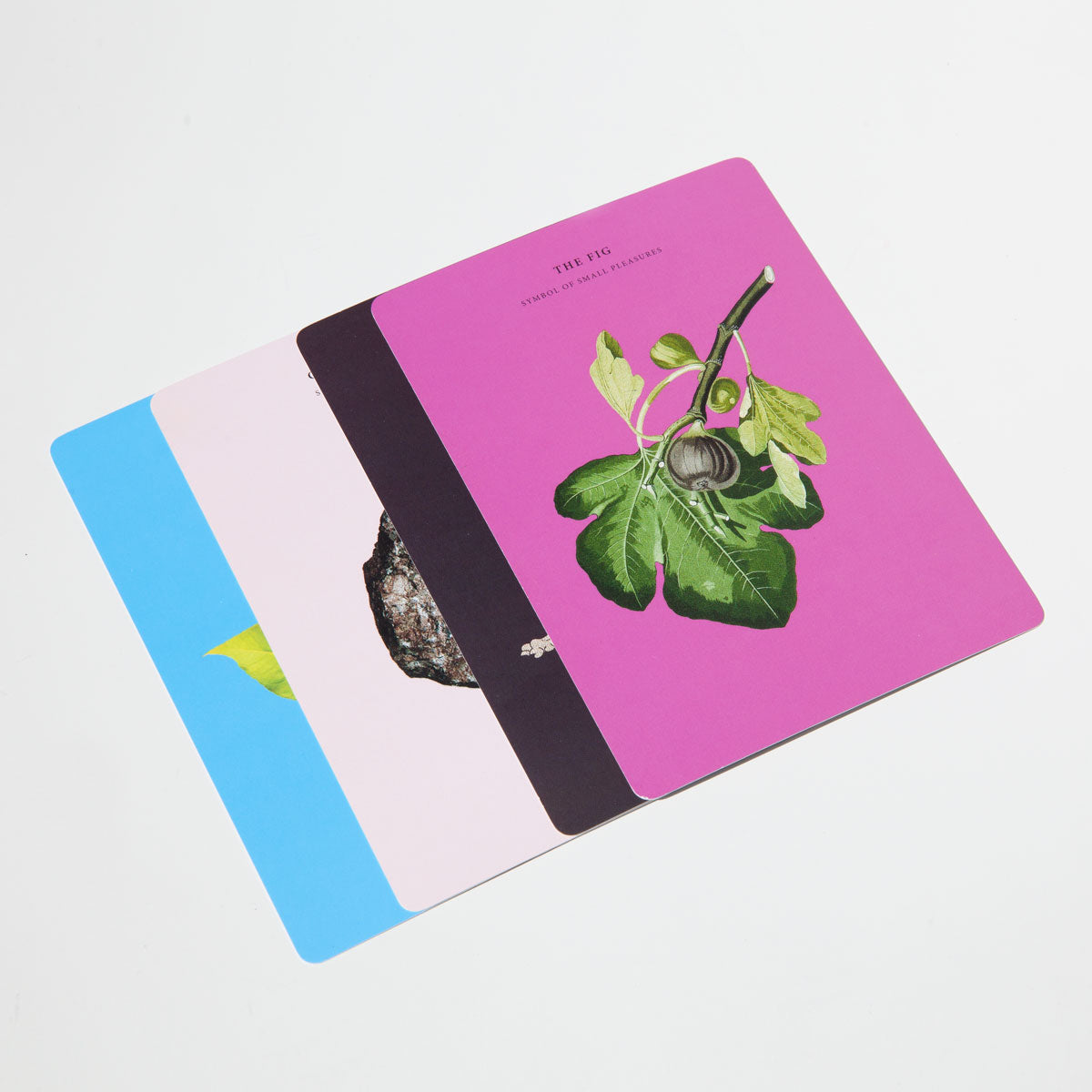 Wisdom of Nature Card Set