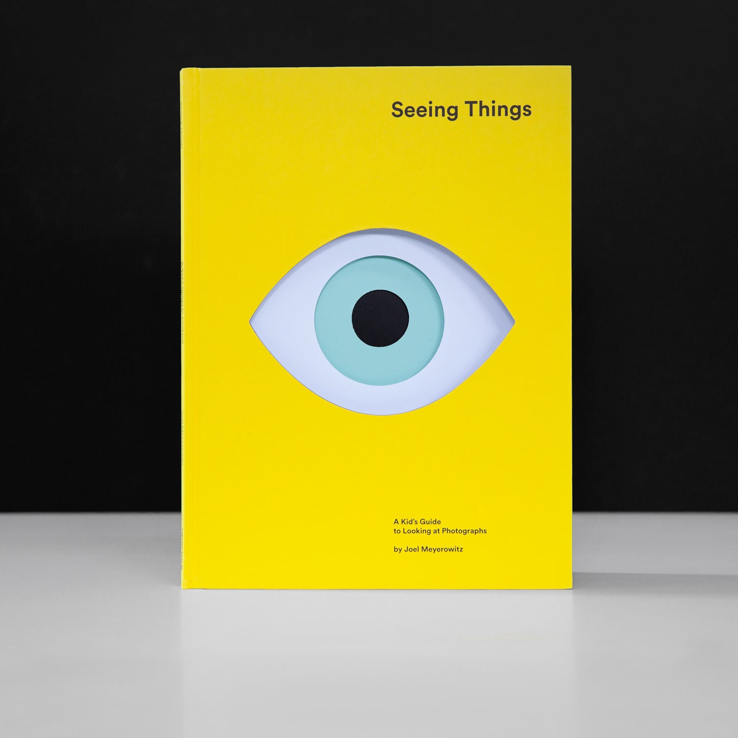 Seeing Things