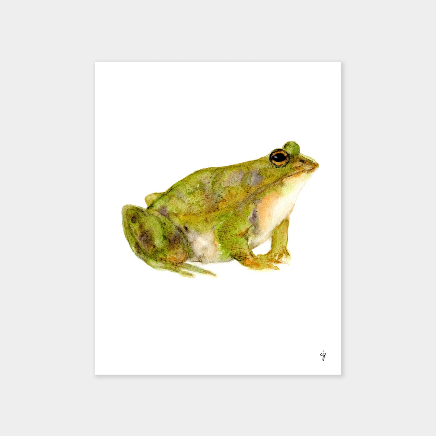 Frog Card