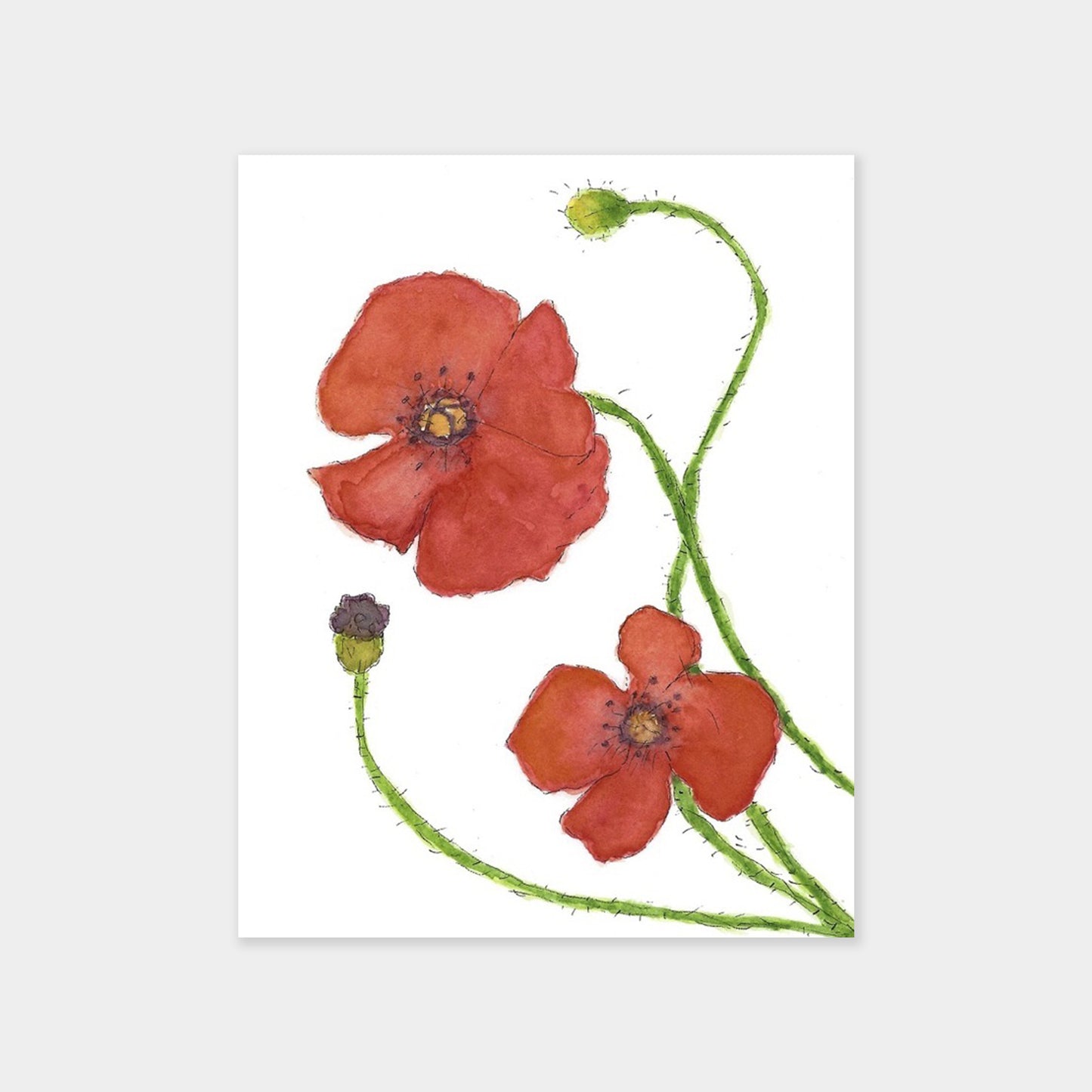 Poppies Card