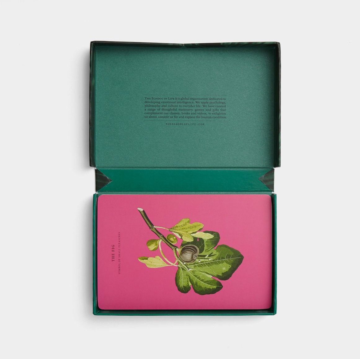 Wisdom of Nature Card Set