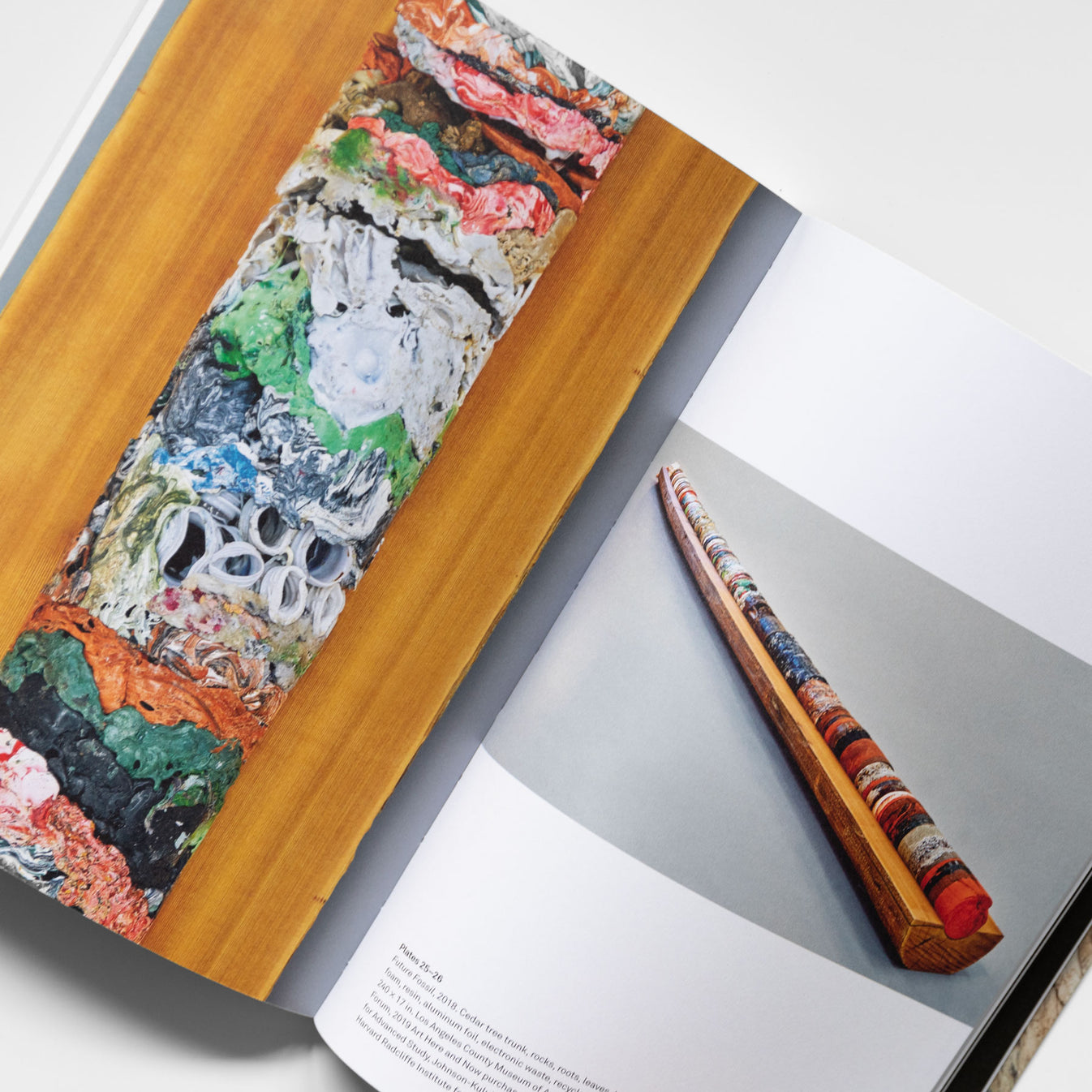 Clarissa Tossin to take root among the stars Frye Museum Store