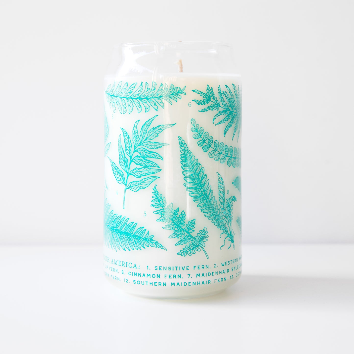 Ferns Soy Candle