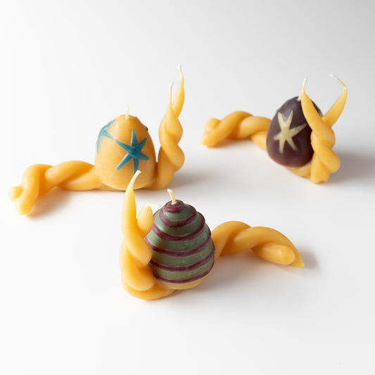 Snail Candle