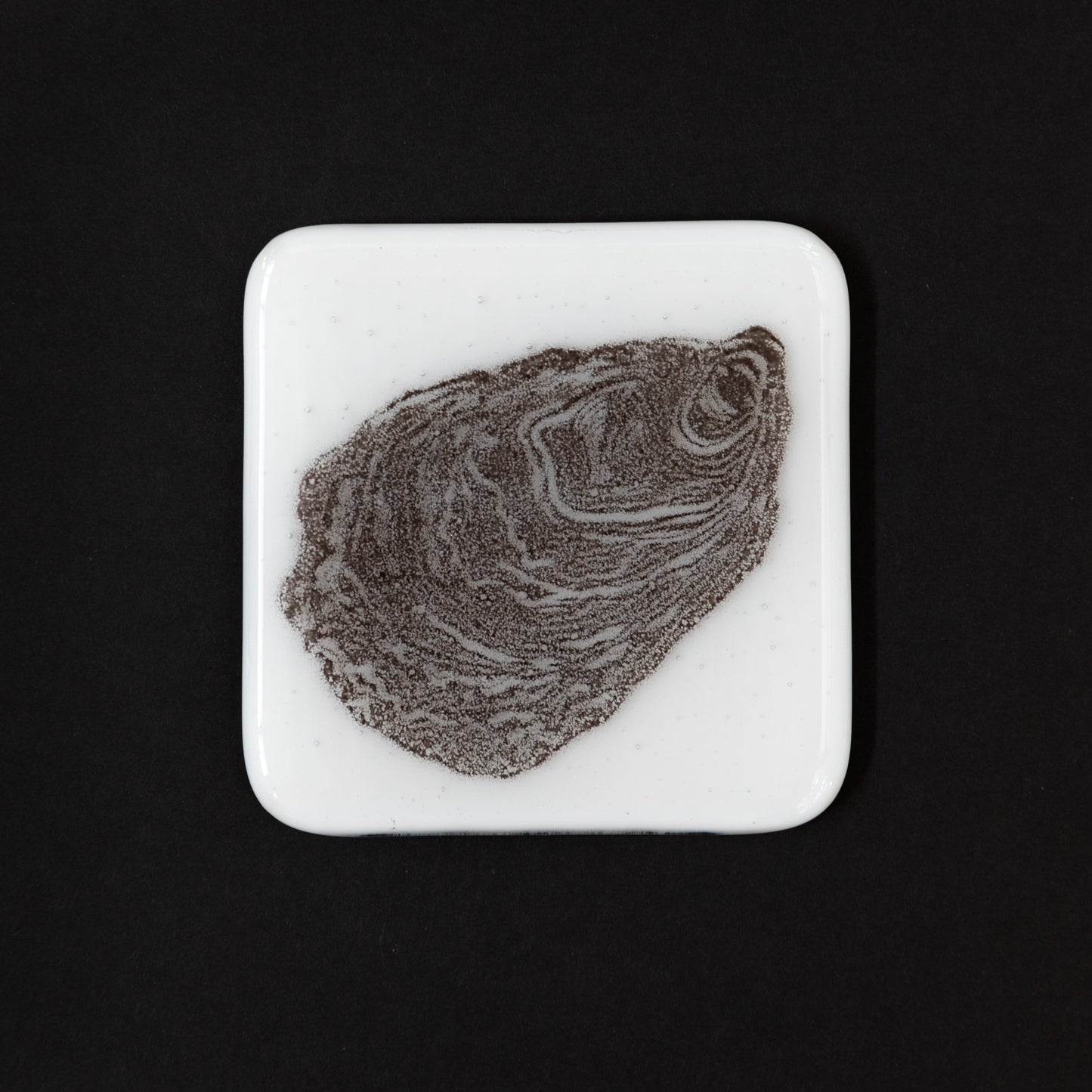 Oyster Coaster