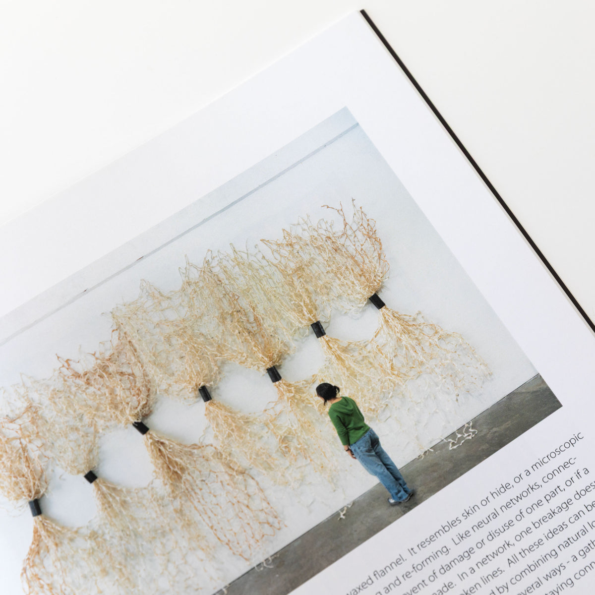 Brenda Mallory: In the Absence of Instruction