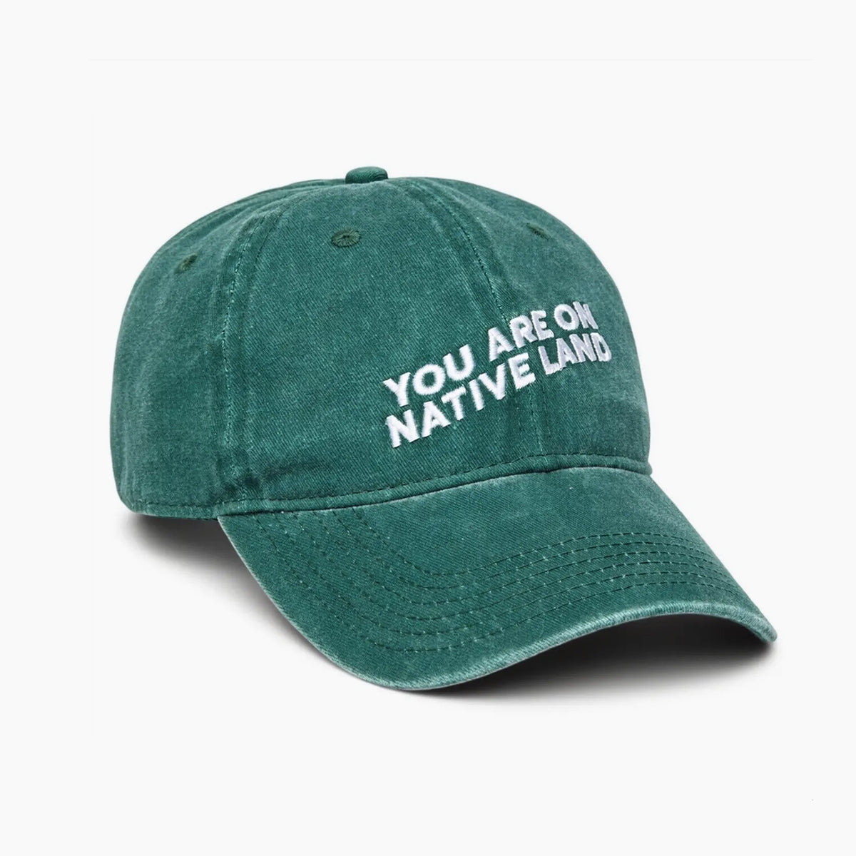 You are on Native Land cap