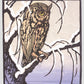 Long Winter's Night Holiday Cards
