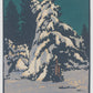 Long Winter's Night Holiday Cards