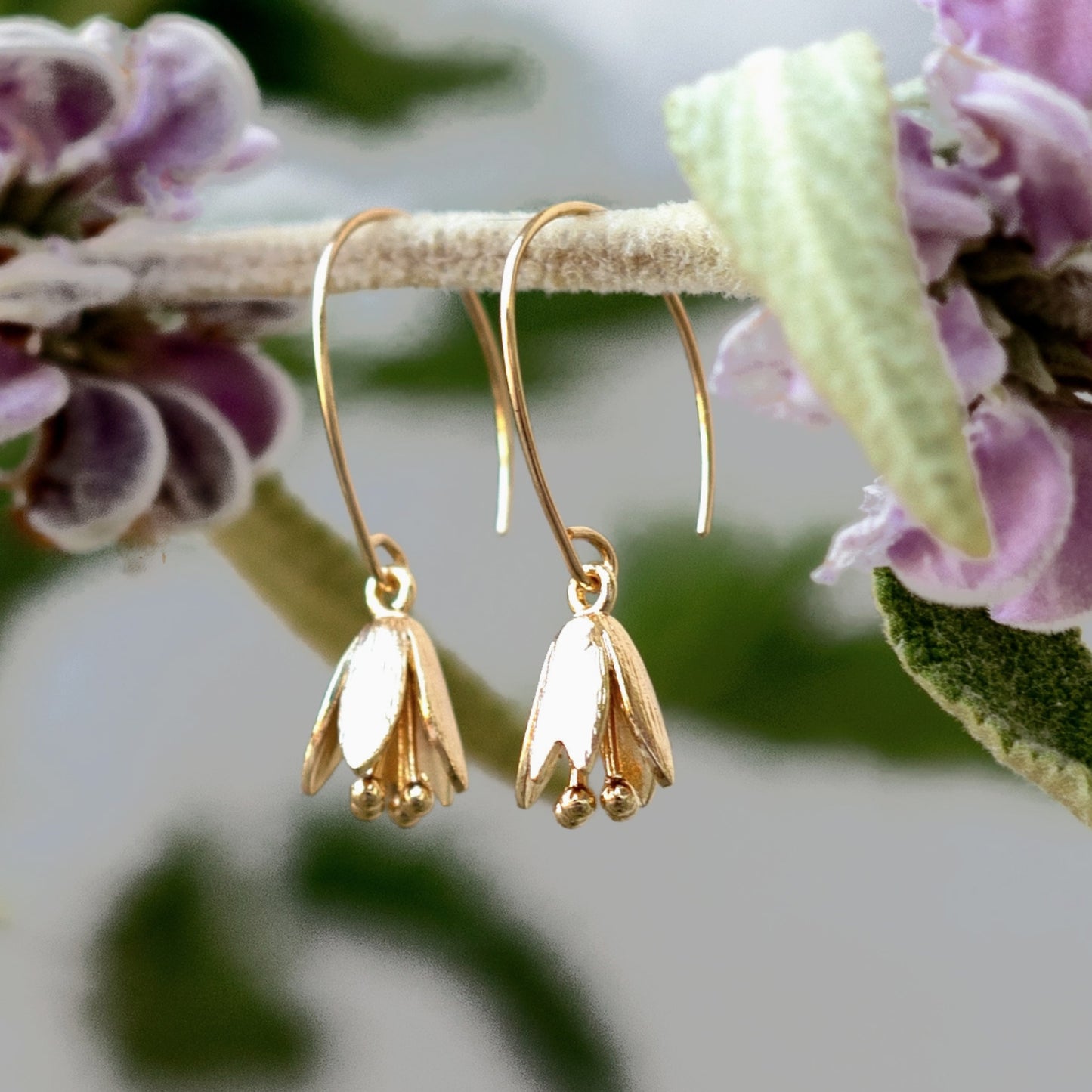 Courtenay Tulip Earrings