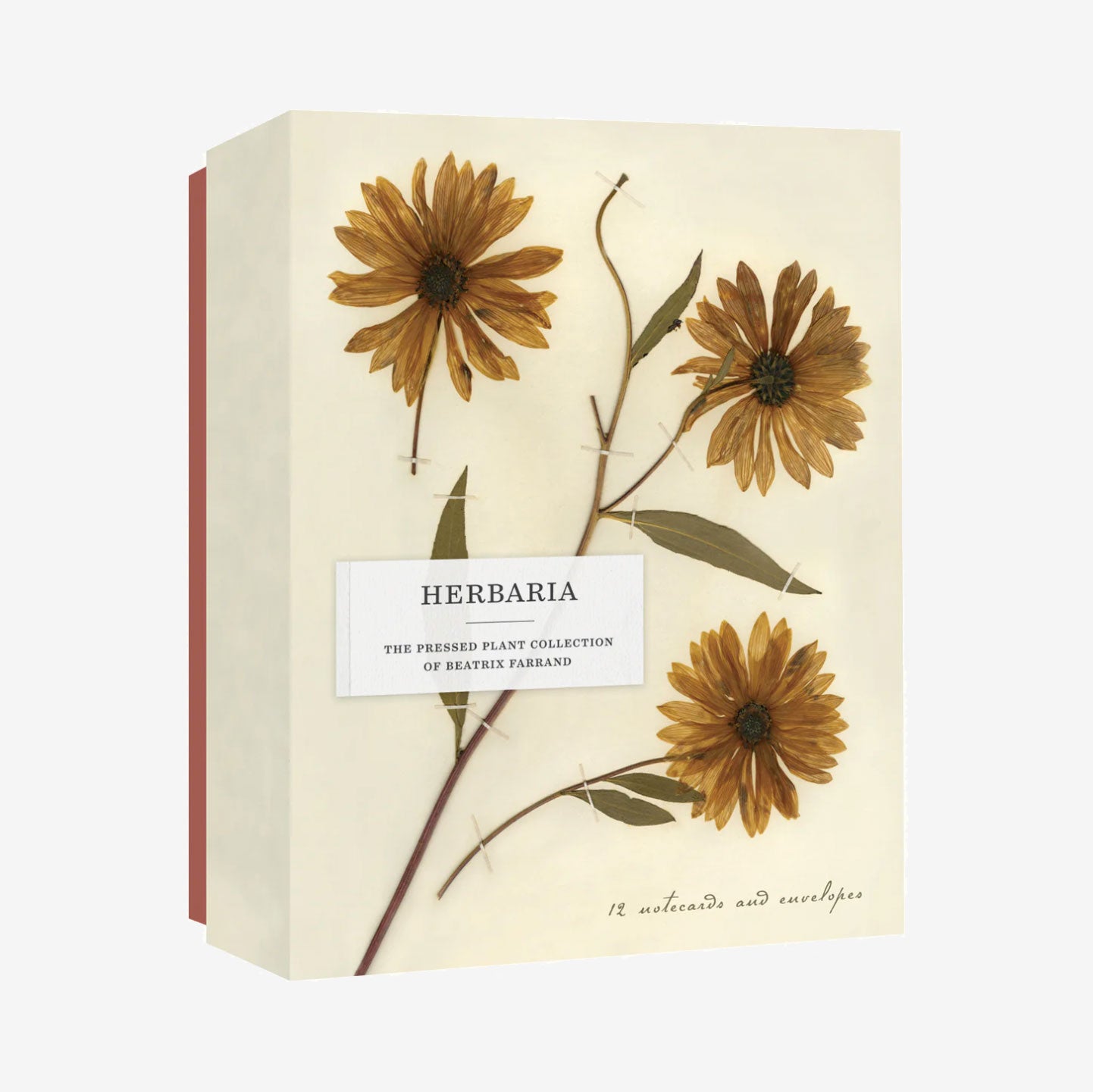 Herbaria: The Pressed Plant Collection of Beatrix Farrand Notecards