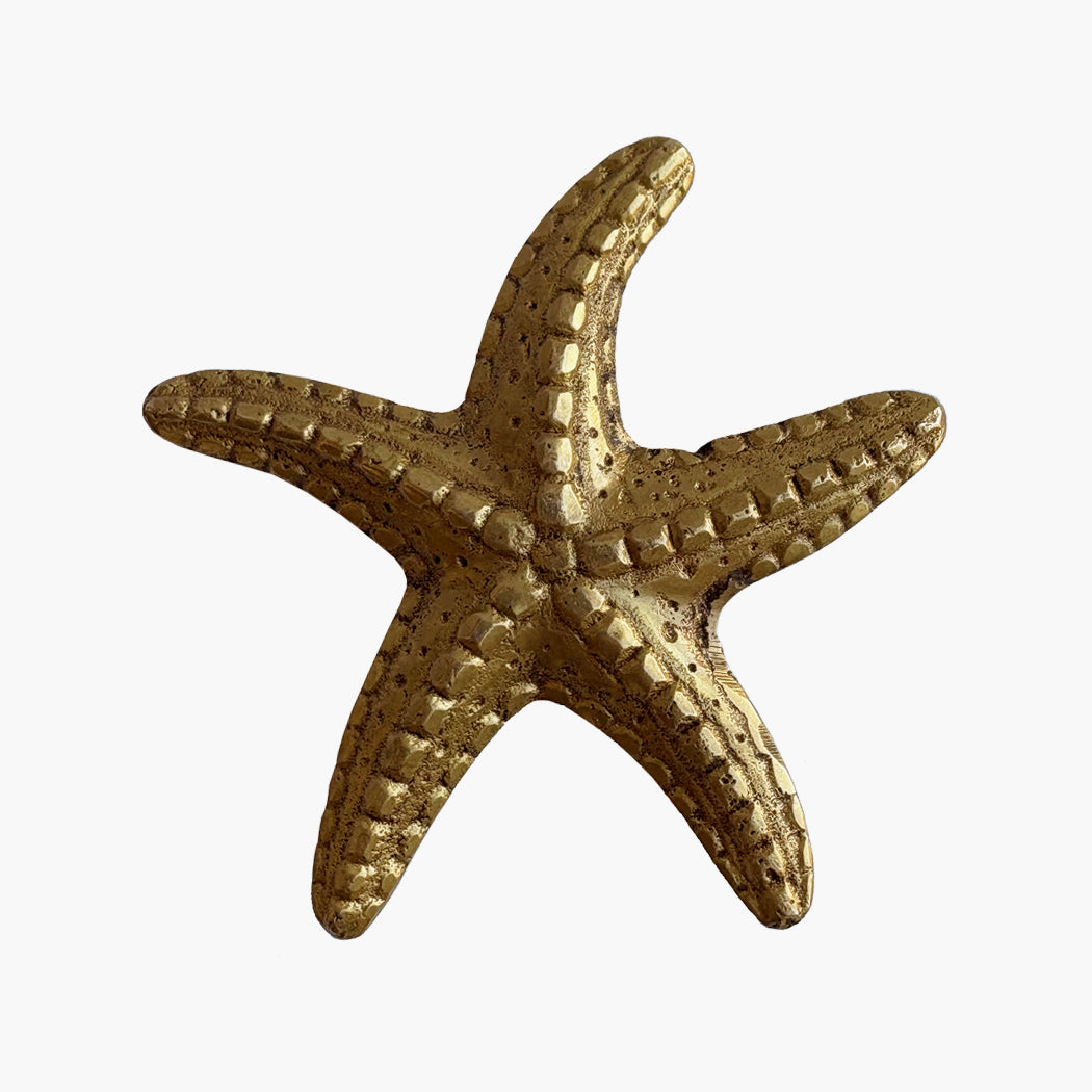 Starfish Paperweight