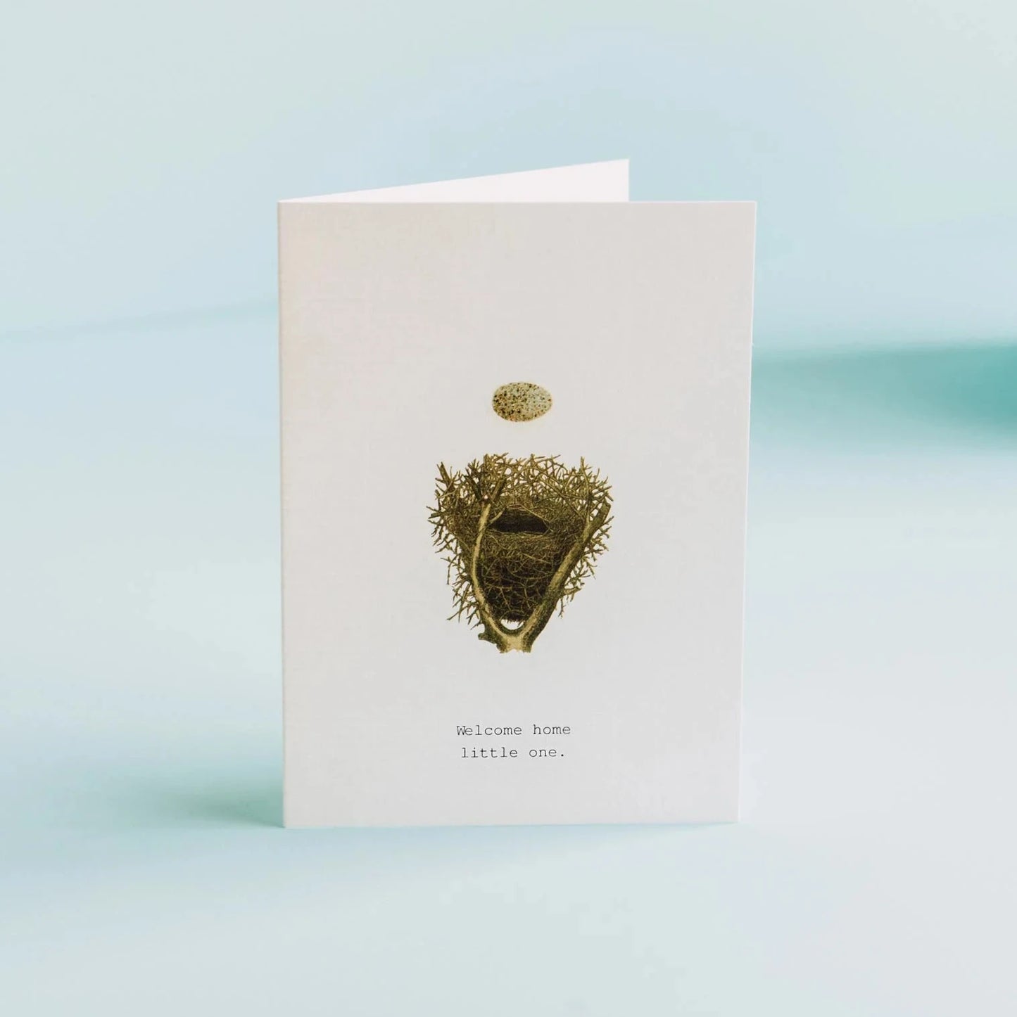 Welcome Home Little One Greeting Card