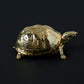 Gold Turtle Box