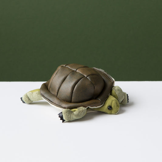Mini Turtle Puppet