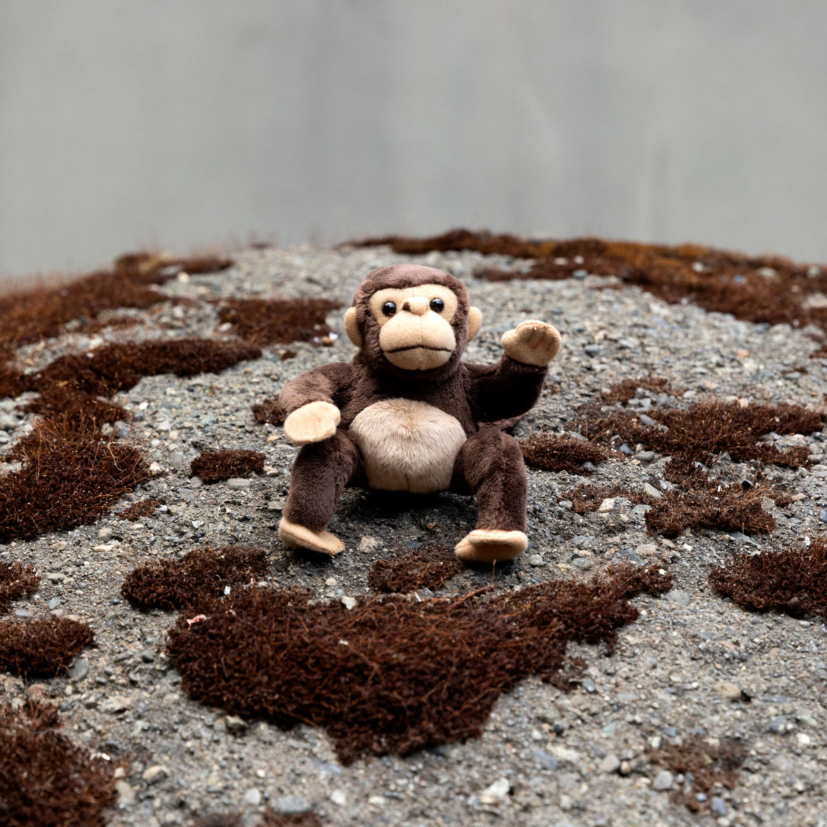 Mini Monkney Mini Monkey Puppet – Frye Museum Store