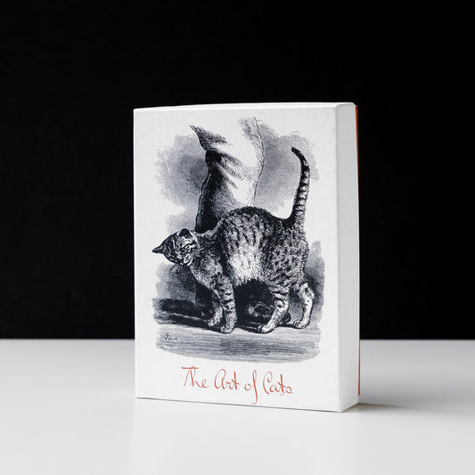 The Art of Cats Notecards