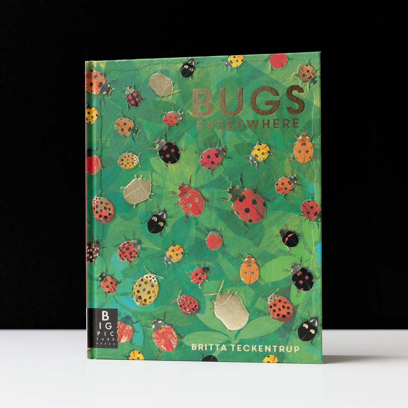 Bugs Everywhere Frye Museum Store