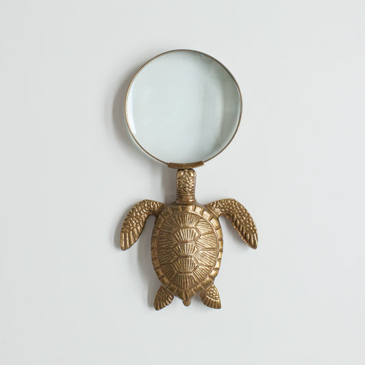 Turtle magnifying glass