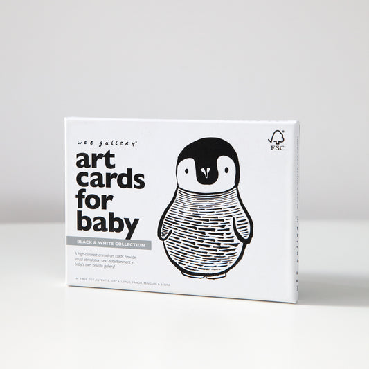 Art Cards for Baby