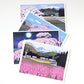 Kazuyuki Ohtsu: Cherry Trees Boxed Notecards