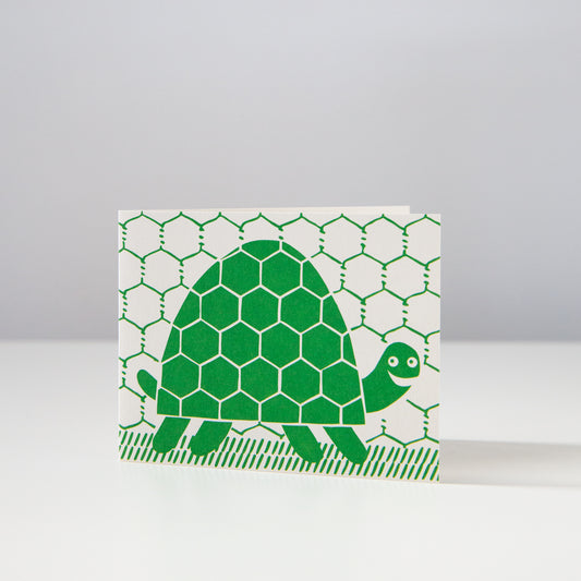 Turtle Card