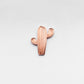 Saguaro Cactus Pin