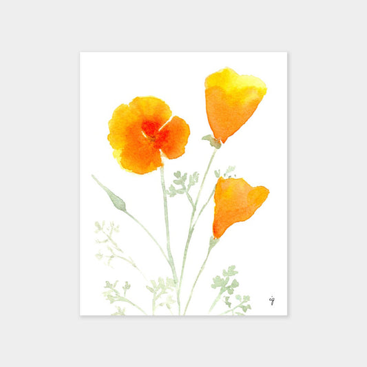 California Poppies Card